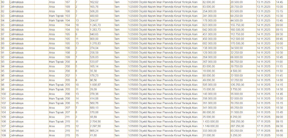 Konya'da hazine arazileri çok ucuza satılacak! Sadece 40 bin TL 10